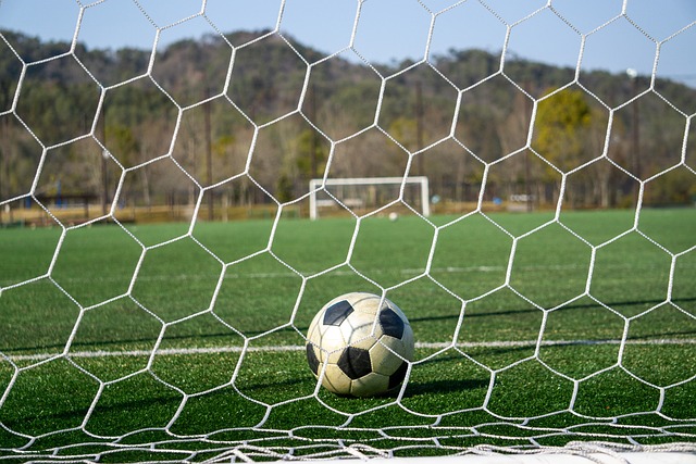 的训练不仅 的训练不仅