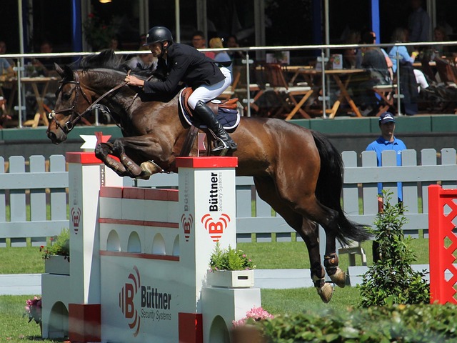 国球尊严 国球尊严